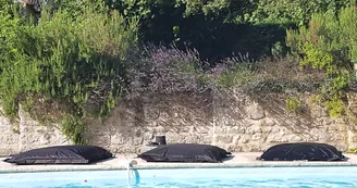 La Loge du Grand Cèdre