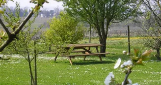 Le Puits des Brousses