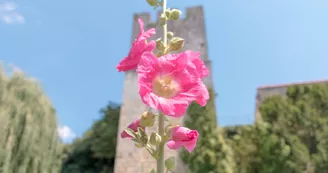 Village de Saint-Sauvant