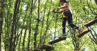 Tree climbing course