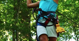 Tree climbing course