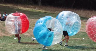Tree climbing course
