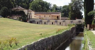 Tree climbing course