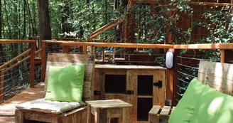 Tree climbing course