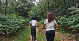 Tree climbing course