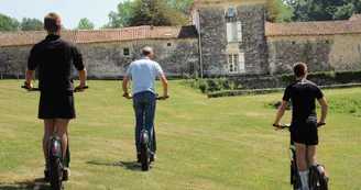 Tree climbing course