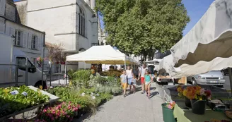 Marché Saint-Pierre de Saintes