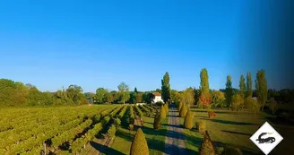 Logis des Bessons - Domaine Tesseron