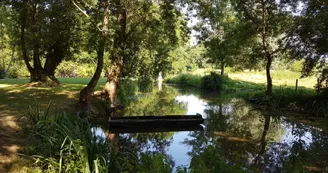 La Vallée de la Seugne