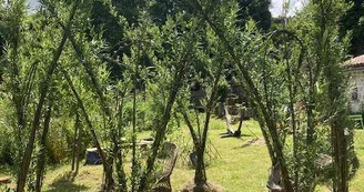 La Belle Etoile Maison Fertile