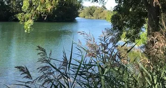 Terra Aventura, Les Gonds : ça rigole dans le marais !