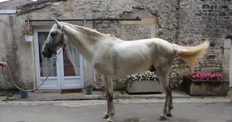 Gîte des Ecuries du Seillery