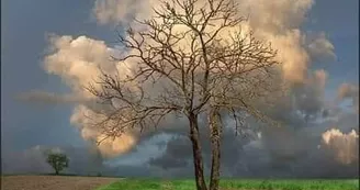 Expo photo dansée « SèveS »
