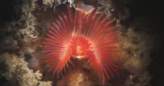 Le PhotoClub des Arches expose !