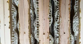 Les Apiers d'Aliénor - Bee Farm