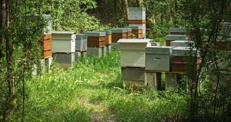 Les Apiers d'Aliénor - Bee Farm