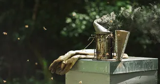 Les Apiers d'Aliénor - Bee Farm