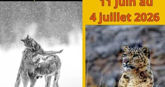 Les Estivales photo - Exposition