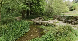 Lavoir de Chaumet-les-Violettes