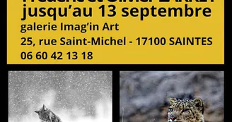 Exposition Frédéric et Olivier Larrey