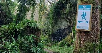vallée du Rochefollet vallée du Rochefollet