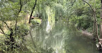 Le marais de la Seugne - Montils Le marais de la Seugne - Montils