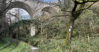 Vallée de l'Escambouille