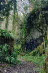 vallée du Rochefollet